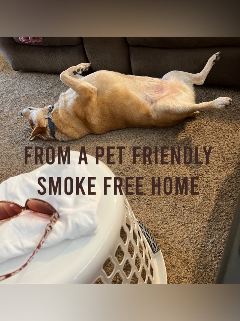 NOT FOR SALE!! From a pet friendly, smoke free home!!